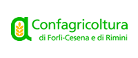 Partner IoSonoCesena