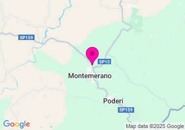 Clicca per visualizzare su Google Maps