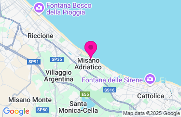 Guarda la mappa
