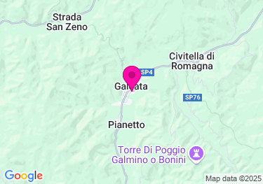Clicca per visualizzare su Google Maps