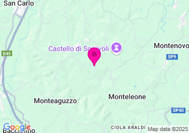 Clicca per visualizzare su Google Maps