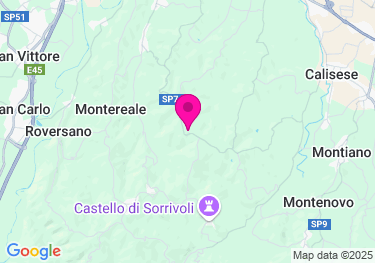 Clicca per visualizzare su Google Maps
