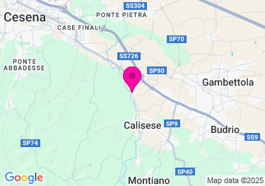 Clicca per visualizzare su Google Maps