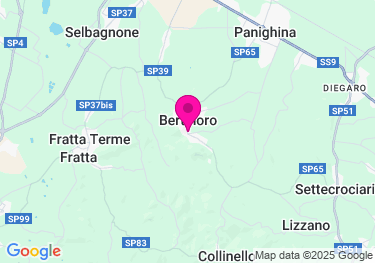 Clicca per visualizzare su Google Maps