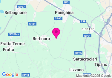 Clicca per visualizzare su Google Maps