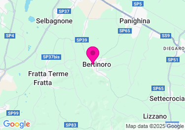 Clicca per visualizzare su Google Maps