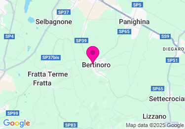 Clicca per visualizzare su Google Maps