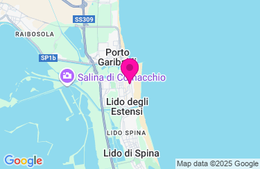 Guarda la mappa