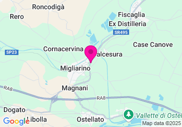 Clicca per visualizzare su Google Maps