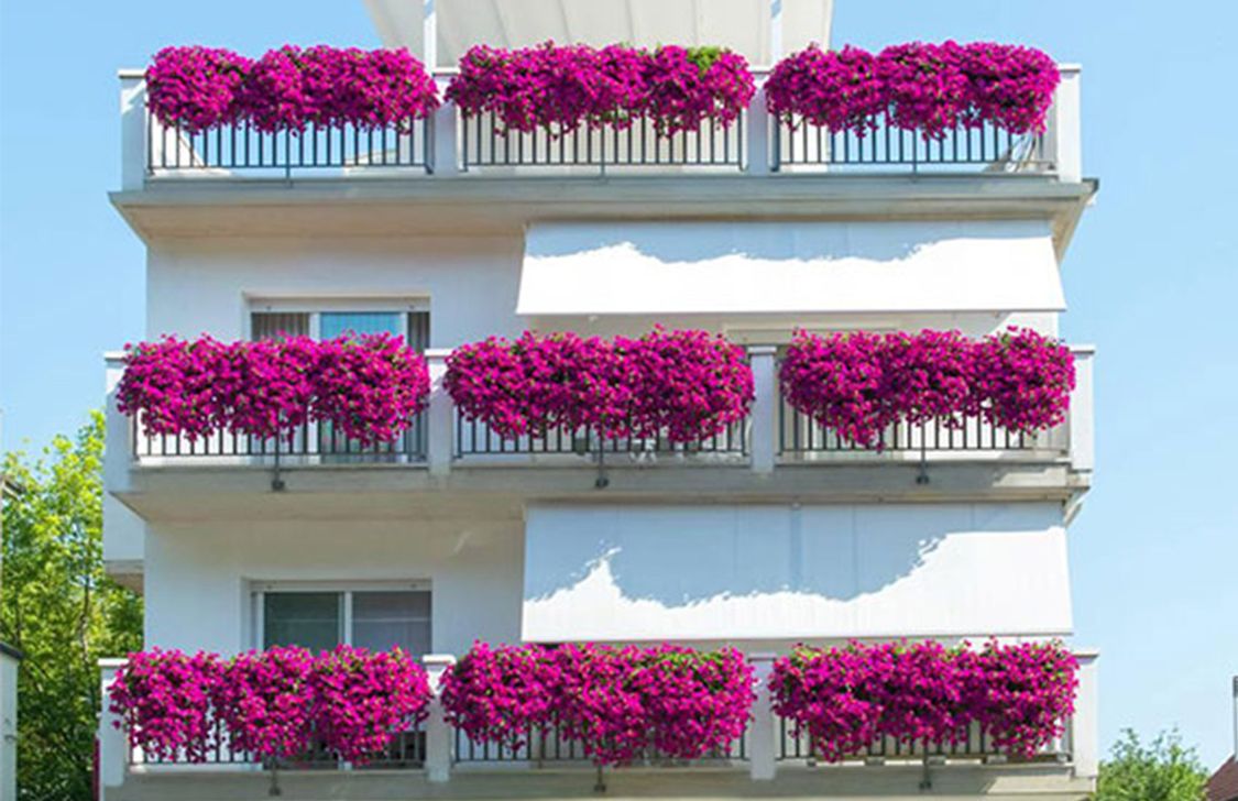 Residence Ola*** - Esterno Residence Ola*** - Esterno