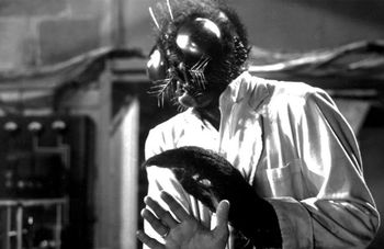 Halloween al Museo dell’Ecologia con lo strano caso del Doctor Roby e Mister Bee