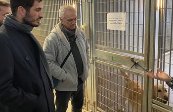 Conclusi i lavori di ampliamento del canile Rio Eremo