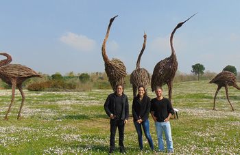 Cinque aironi approdano al parco Ippodromo