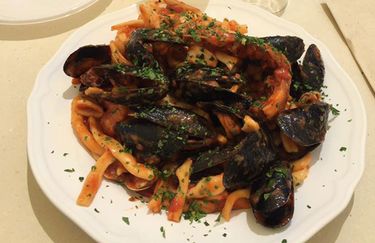 Palm beach - Scoglio
