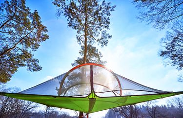 Alto Savio Camping - Tenda Sospesa sugli Alberi