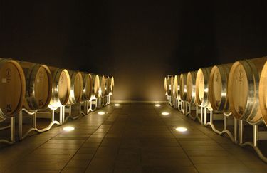 CampoDelSole - Cantina
