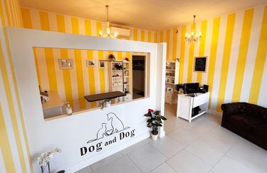 Dog And Dog - Interno