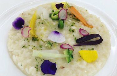 Ristorante Paradiso - Piatto