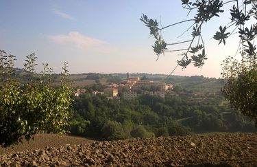 Casa Oliva - Esterno