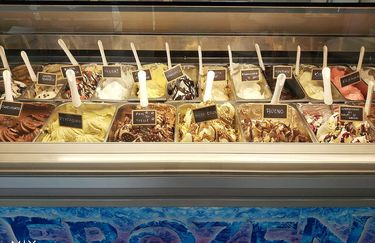 Gelateria Frozen - Gelato
