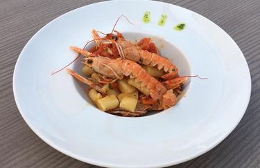 Bagno 203 - Scampi