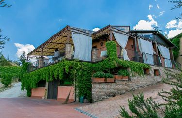 Agriturismo Il Gallo Nero - Esterno