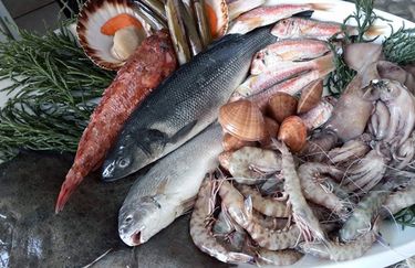 Coupon Menù Cielo Terra e Mare alla Trattoria La Barcaccia di Verucchio (RN)