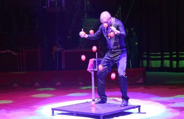 circo millennium - artisti