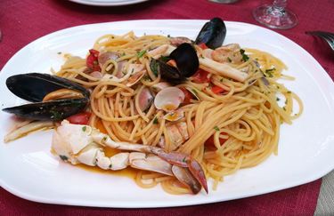 cavallino-scoglio