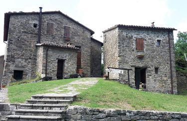 Agriturismo Montalcino - Struttura