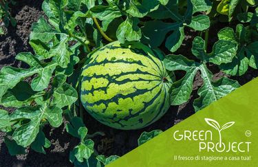 Green Project - Prodotti