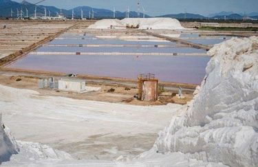Romagna Sale - Saline