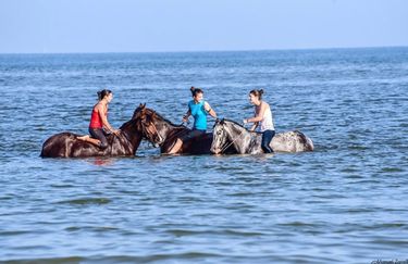 Aloha Beach passeggiata a cavallo 6