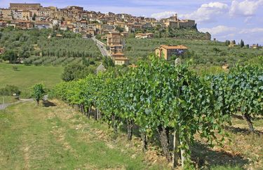 Hotel Ave - chianciano terme