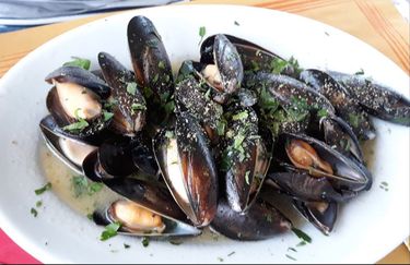 Top Story - Cozze