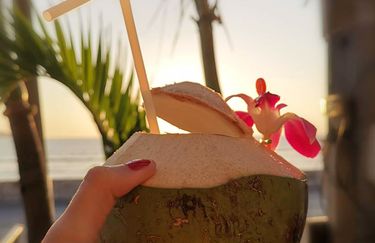 Tiki Beach Bar - Cocktail