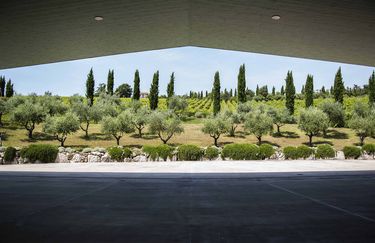 CampoDelSole - Campo