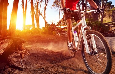 Bike Park mountain bike