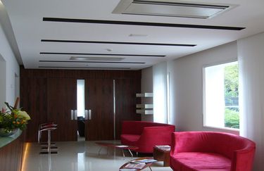 Artegessi - Soffitto