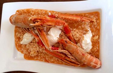 Bagno QueVida - Risotto