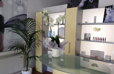 Cocoon Center - Interno