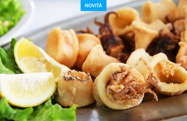 la nuova gradarina - calamari fritti