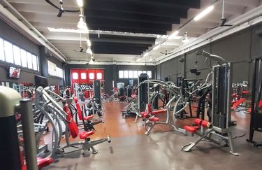 Beverly Hills - Palestra