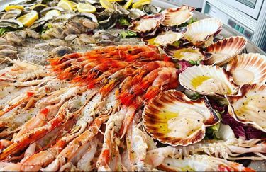 Palm beach - Pesce