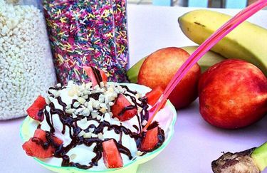 Gelateria Frozen - Yogurt