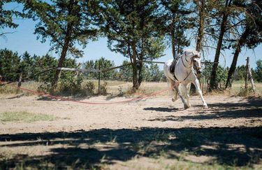 La Baglina Horse Club - Cavallo