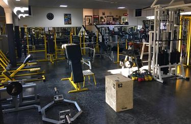New Big Dream - Palestra
