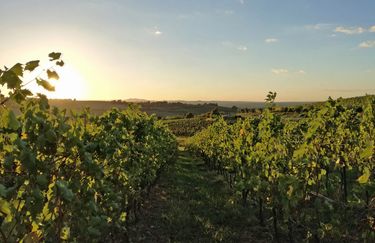 CampoDelSole - Campo