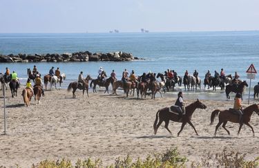 Aloha Beach passeggiata a cavallo 3