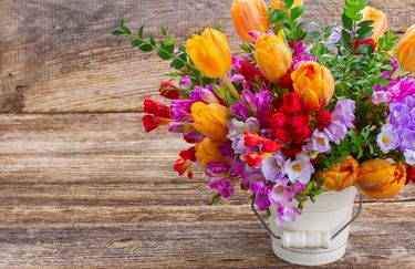 il-tulipano-mazzo-fiori2